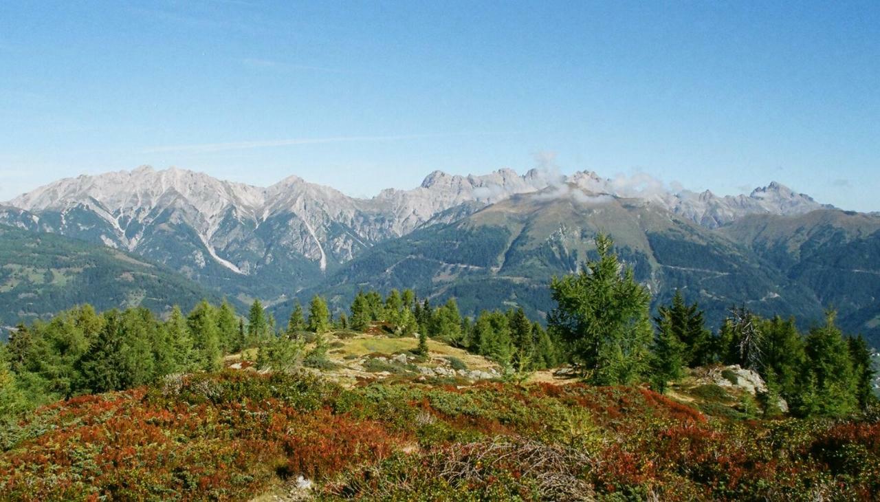 Bio-Bergbauernhof Ederhias Villa Liesing Dış mekan fotoğraf