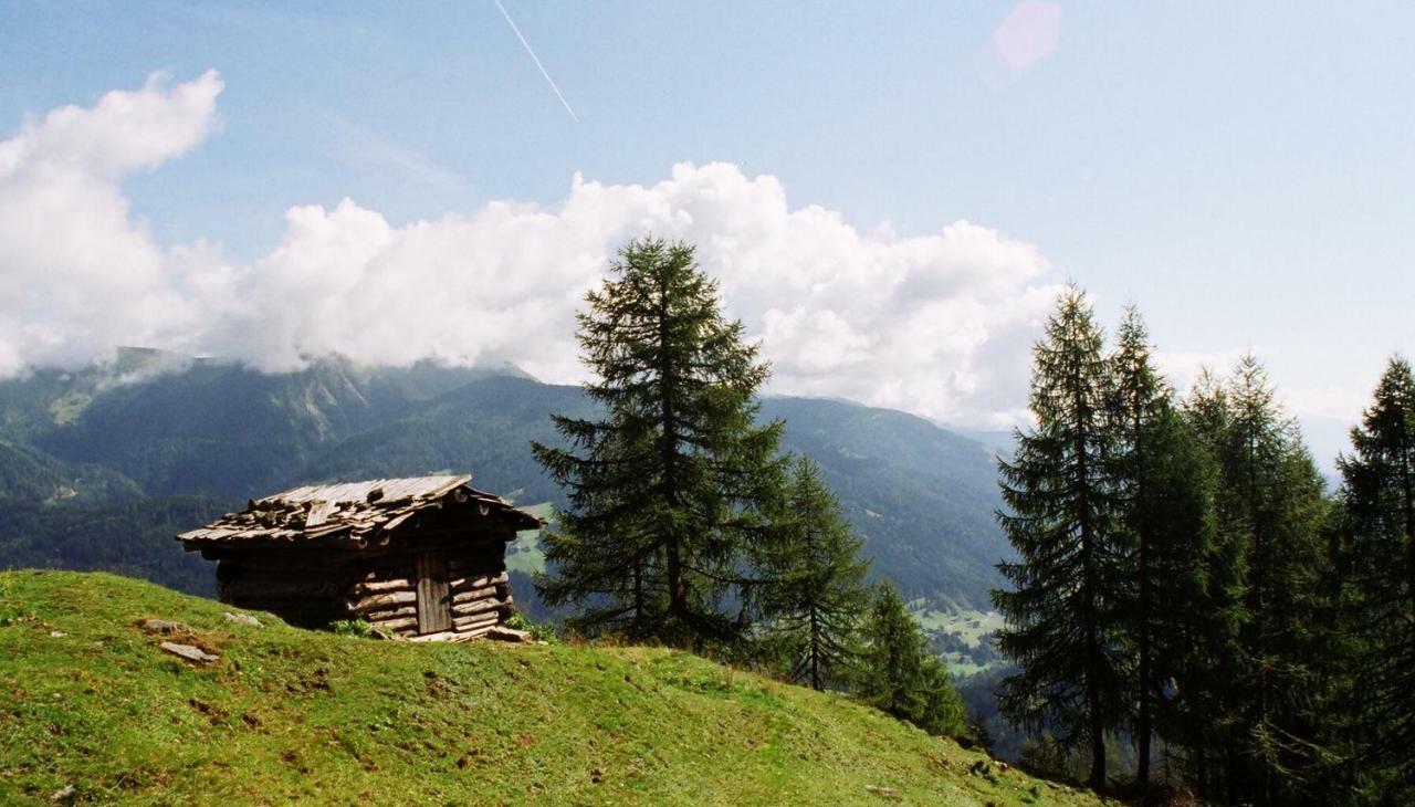 Bio-Bergbauernhof Ederhias Villa Liesing Dış mekan fotoğraf